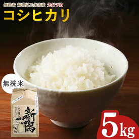 【ふるさと納税】先行予約 新潟県三条市産 コシヒカリ 無洗米 5kg [グリーンファーム渡前] 令和8年産 コシヒカリ 2026年産 新潟県 こしひかり【017S142】