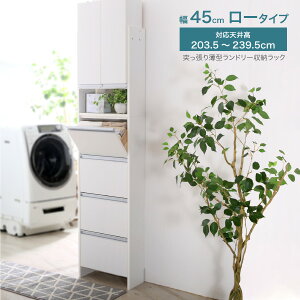 yӂ邳Ɣ[Łz˂蔖^h[[bN [^Cv 45cm ʏ Eߏ Eߏ [ h[bN h[`FXg ؐ X { Tj^[bN ς 