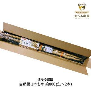 yӂ邳Ɣ[Łzs\ R 1{ 800g(1`2{) R Ƃ낲т ˂񂶂 [܂_] y010P125z
