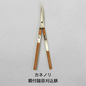 yӂ邳Ɣ[Łz[Jlm] |tȖڊ |T Αb ΂ | K[fjO [܏\nH]y018S023z