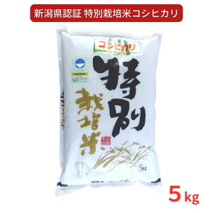 yӂ邳Ɣ[Łz ʍ͔| RVqJ5kg VF ߘa7NY VOsY Ђ AOI[y010S275z