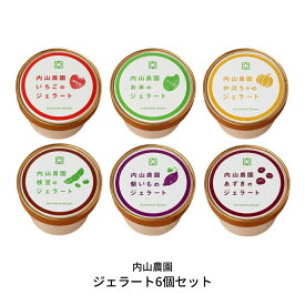 【ふるさと納税】内山農園のジェラート6個セット カップアイス 食べ比べ [内山農園] 【010S294】