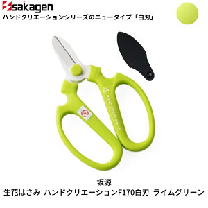 yӂ邳Ɣ[ŁzԂ͂ nhNG[VF170 IׂJ[S11F ԃnT~ |nT~  | K[fjOpi [⌹] y010S376z