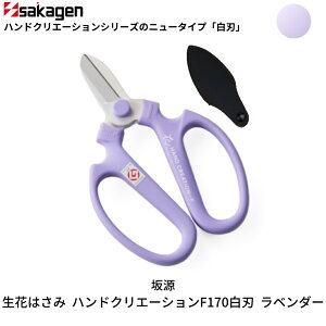 yӂ邳Ɣ[ŁzԂ͂ nhNG[VF170 IׂJ[S11F ԃnT~ |nT~  | K[fjOpi [⌹] y010S376z