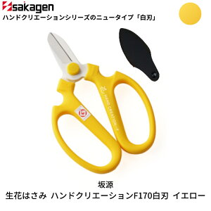 yӂ邳Ɣ[ŁzԂ͂ nhNG[VF170 IׂJ[S11F ԃnT~ |nT~  | K[fjOpi [⌹] y010S376z