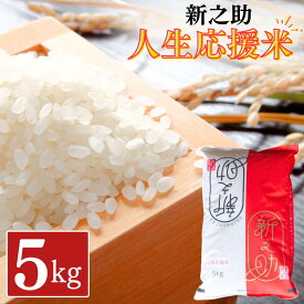 【ふるさと納税】新之助人生応援米 5kg 令和7年産 新之助 白米 アグリ巧房【012S079】