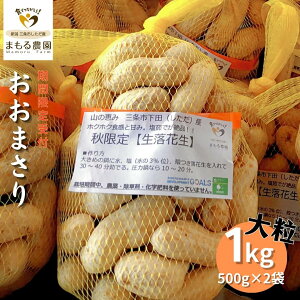 yӂ邳Ɣ[Łzs\ [Ԍt] Ԑu܂v 1kg(500g×2) 嗱 Ԑ VY OscY @[܂_] y010S204z