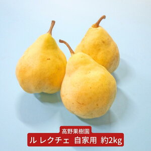 yӂ邳Ɣ[Łzs\  N`F Ɨp 2kg Os_ƃ}CX^[Ă VY  N`G m EN`F y010S183z