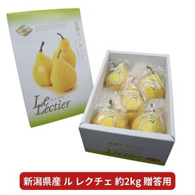 【ふるさと納税】 先行予約 ル レクチェ 贈答用 2kg [2025年11月下旬発送] 新潟県産 洋梨 ル レクチエ ル・レクチェ [岩福農園] 【010P025】