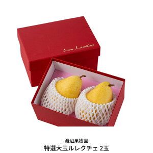 yӂ邳Ɣ[Łzs\ IʃN`F 2 [11{甭\] p m  N`G m ϔ miV EN`F [nӉʎ] y010S239z