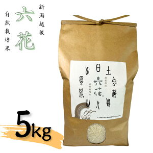 yӂ邳Ɣ[ŁzVz R͔|ăRVqJ 5kg ߘa7NY 2025NY ʌ Ђ L@JASF؁y017S060z