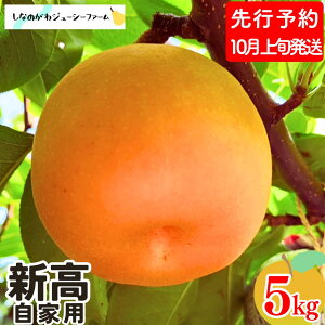 yӂ邳Ɣ[Łzs\ a V Ɨp 5kg [10{甭\] V OsY  [Ȃ̂W[V[t@[]y010S491z