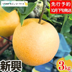 yӂ邳Ɣ[Łz a V 3kgE5kg Iׂ鐔 V OsY  [Ȃ̂W[V[t@[]y010S492z