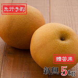 yӂ邳Ɣ[Łzs\ a V 5kg [11{`\] VY  [╟_] y010P064z