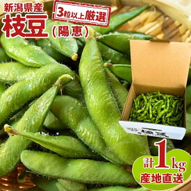 【先行予約】【ふるさと納税】[3粒以上を厳選] 新潟県産 枝豆（陽恵） 1kg [2026年発送分] 令和8年産 朝採りをお届け 枝豆 [堀川農園] 【017S023】
