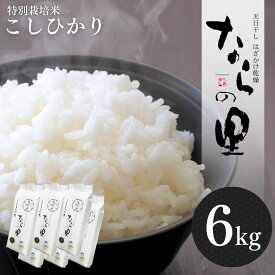 【ふるさと納税】新米 新潟県産コシヒカリ 6kg (1kg×6) 特別栽培米 令和7年産米 昔ながらのはざ掛け（はざかけ）米 天日干し 長持ち 真空パック こしひかり [農事組合法人ならやま]【020P096】