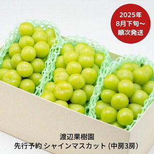 yӂ邳Ɣ[Łzs\ [VC}XJbg3[ (1.6kg) [8{甭\] ߘa7Nx p VC}XJbg V OsY Ԃǂ [nӉʎ] y026S044z