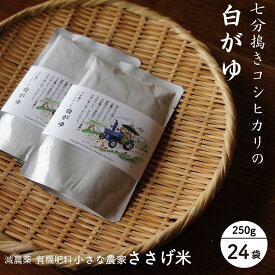 【ふるさと納税】七分搗きコシヒカリの白がゆ 250g 24袋 おかゆ お粥 米 レトルト 防災グッズ 防災用品 常温保存 非常食 備蓄 ストック 長期保存 [小さな農家ささげ米]【024S054】