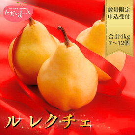 【ふるさと納税】[2026年産先行予約] ル レクチエ 2kg 3kg 4kg 選べる容量 令和8年度 洋梨 新潟県産 ル・レクチェ 洋梨の貴婦人 [JAえちご中越]【010S139】