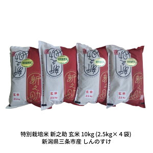 �y�ӂ邳�Ɣ[�Łz���ʍ͔|�� �V�V�� 10kg �V�����O���s�Y ���� ����̂��� �ߘa7�N�Y [�����_�Y�L�@�Z���^�[]�y024S057�z