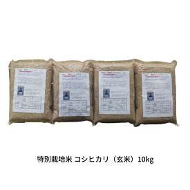 【ふるさと納税】特別栽培米 コシヒカリ 玄米 10kg 新潟県産 令和7年産 [佐藤農産有機センター]【022S093】