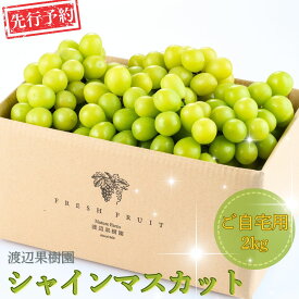 【ふるさと納税】先行予約 シャインマスカット ご自宅用 2kg 令和8年度 自家用 新潟県 三条市産 ぶどう [渡辺果樹園] 【027S040】
