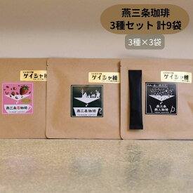 【ふるさと納税】燕三条珈琲 3種セット 計9袋 エチオピア産ゲイシャ種 鉄入珈琲 苺珈琲 ドリップバッグ 珈琲 コーヒー 飲み比べ [株式会社プラスワイズ]【013S097】