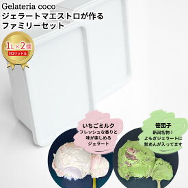 【ふるさと納税】ジェラートマエストロが作るファミリーセット 1L×2 合計2L[いちごミルク・笹団子] ジェラート アイス 大容量 ファミリーパック 添加物不使用 [Gelateria coco]【017S105】