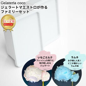 【ふるさと納税】ジェラートマエストロが作るファミリーセット 1L×2 合計2L[いちごミルク・ラムネ] ジェラート アイス 大容量 ファミリーパック 添加物不使用 [Gelateria coco]【017S106】