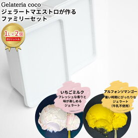 【ふるさと納税】ジェラートマエストロが作るファミリーセット 1L×2 合計2L[いちごミルク・アルフォンソマンゴー] ジェラート アイス 大容量 ファミリーパック 添加物不使用 [Gelateria coco]【017S107】