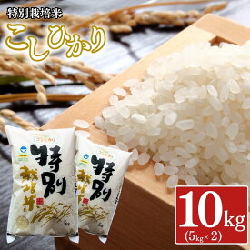 【ふるさと納税】特別栽培米 コシヒカリ10kg (5kg×2袋) 新潟県認証 令和8年産 新潟県三条市産 こしひかり アグリ巧房【018S025】