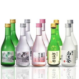 【ふるさと納税】日本酒飲み比べ 300ml×10本（5種類×2本） 特別本醸造酒 本醸造生貯蔵酒 純米酒 甘口 吟醸酒 新潟県 日本酒 清酒 地酒 [福顔酒造 ]【020P023】