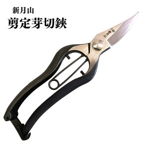 yӂ邳Ɣ[Łz  |n vdl ō ʎD] |pi O [VR] y020P094z