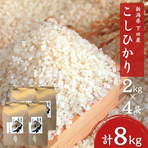 yӂ邳Ɣ[Łzs\ RVqJ 8kg(2kg×4) VOscYЂ ߘa7NY VYRVqJ   OscYRVqJy020S022z