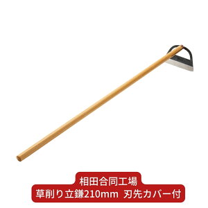 yӂ邳Ɣ[Łz藧210mm nJo[t   |pi O [cH] y022S055z
