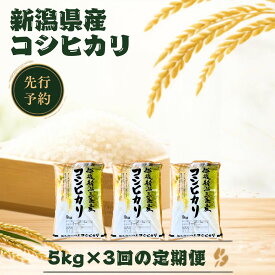 【ふるさと納税】先行予約 定期便 コシヒカリ5kg × 3回 新潟県産コシヒカリ 令和8年産 こしひかり 精米 コシヒカリ定期便 5キロ 3か月 三条市 【039S026】