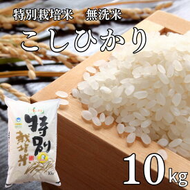 【ふるさと納税】県認証 特別栽培米 コシヒカリ10kg 無洗米 新潟県認証 令和7年産 新潟県三条市産 こしひかり 【021S058】