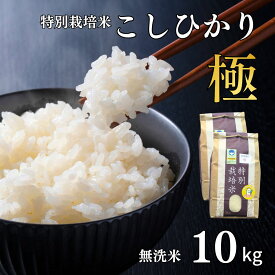 【ふるさと納税】県認証 特別栽培米 コシヒカリ 「極」 10kg 無洗米 令和7年産米 こしひかり 新潟県認証 白米【024S041】