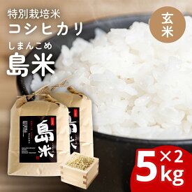 【ふるさと納税】新米 新潟県特別栽培米 コシヒカリ10kg 玄米「島米(しまんこめ)」三条市 下田 令和7年産 コシヒカリ [農事組合法人島川原]【030S101】