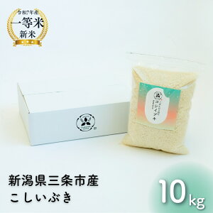 yӂ邳Ɣ[ŁzVYԂ 4~10kg 1 2025NY OsۓY   ߘa7NY 