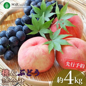 【ふるさと納税】先行予約 季節の桃&ぶどう詰合せ 約4kg 令和8年度 桃（日の出 あかつき なつっこ 川中島白桃 あきぞら 白根白桃 黄金桃） ぶどう（巨峰 シャインマスカット ロザリオビアンコ セキレイ）贈答用 新潟県 三条市産 [三条果樹専門家集団]【038P006】