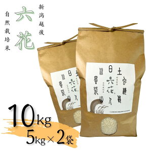 yӂ邳Ɣ[ŁzVz R͔|ăRVqJ 10kgi5kg×2܁jʌ Ђ SȃRVqJ VOsYЂ ăRVqJ ʍ͔| L@JASF؃RVqJ ߘa7