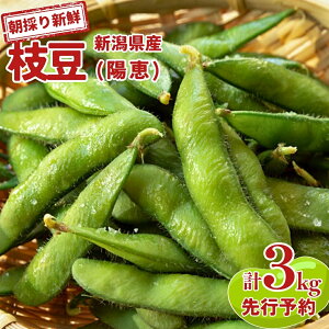 �y�ӂ邳�Ɣ[�Łz ��s�\�� �V�����Y �}�� 3kg [2026�N6�����{�����\��] ���̂�����͂� �}���i�z�b�j [�x��_��] �y030S009�z