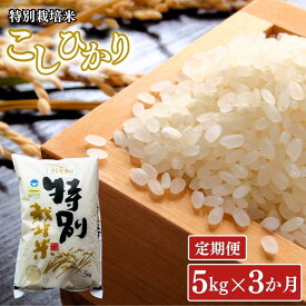 【ふるさと納税】 [定期便5kg×3ヶ月] 特別栽培米 コシヒカリ5kg 新潟県認証 令和8年産 新潟県三条市産 こしひかり 3か月連続でお届け アグリ巧房【027S014】