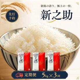 【ふるさと納税】先行予約 定期便 新之助5kg × 3回 新潟県産新之助 令和8年産 しんのすけ 精米 新之助定期便 5キロ 3か月 三条市 【043S035】