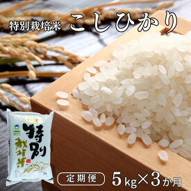 【ふるさと納税】 [定期便5kg×3ヶ月] 特別栽培米 コシヒカリ5kg 新潟県認証 令和7年産 新潟県三条市産 こしひかり 3か月連続でお届け アグリ巧房【027S014】