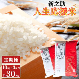 【ふるさと納税】[定期便10kg×3か月] 新之助人生応援米10kg（5kg×2袋）×3か月 計30kg 令和7年産 新之助 白米 アグリ巧房 【070S009】