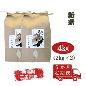 【ふるさと納税】先行予約 [定期便4kg×6か月] 新潟県産 こしひかり 4kg(2kg×2袋)×6か月 新潟県 三条市 下田産 コシヒカリ 精米 白米 【060S006】