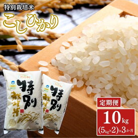 【ふるさと納税】 [定期便10kg(5kg×2)×3ヶ月] 特別栽培米 コシヒカリ10kg 新潟県認証 令和8年産 新潟県三条市産 こしひかり 3か月連続でお届け アグリ巧房【053S002】