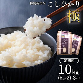【ふるさと納税】[定期便10kg(5kg×2袋)×3か月] 特別栽培米 コシヒカリ 「極」 10kg×3か月 計30kg 令和8年産 一等米 こしひかり 新潟県認証 精米 白米 5kg包装 アグリ巧房【070S005】